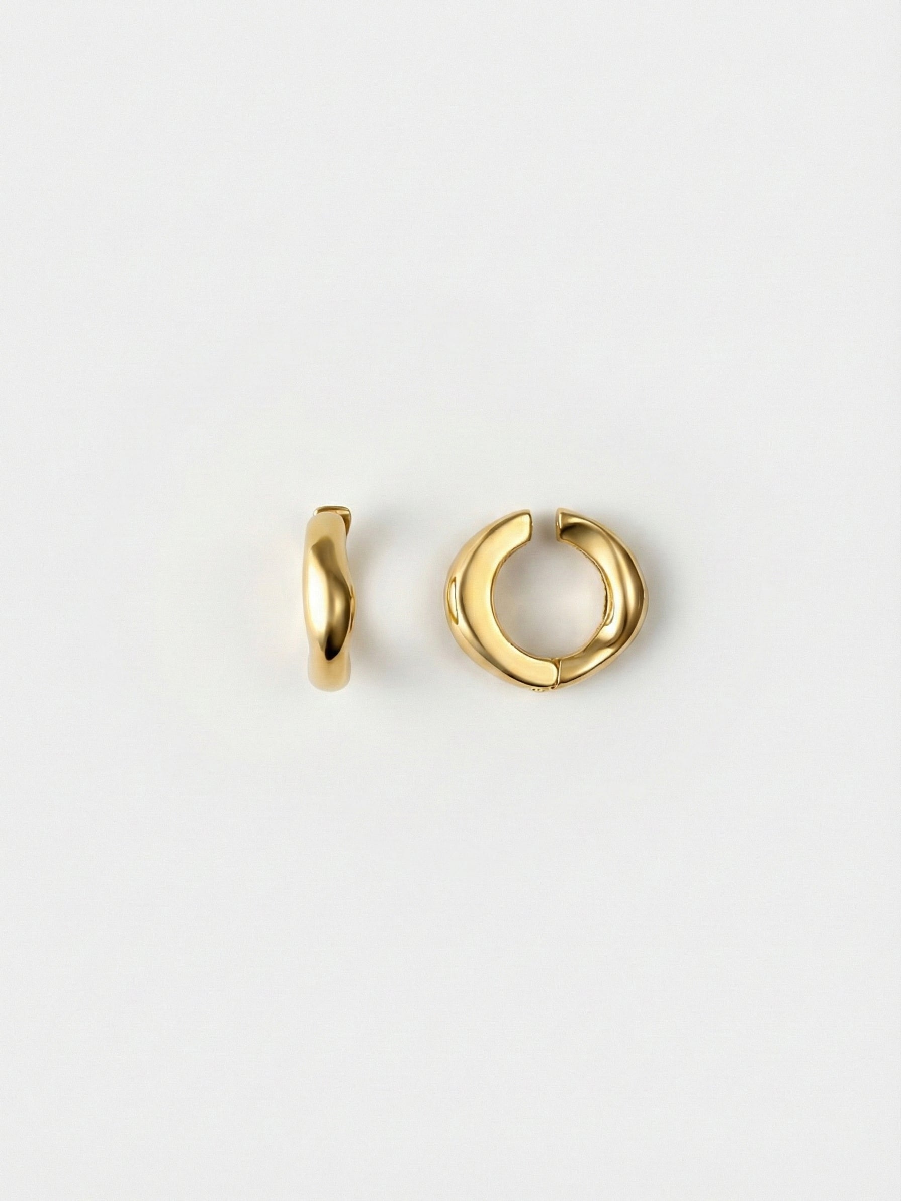 Earrings – ZT JAPAN